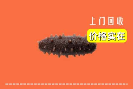 普定县回收海参