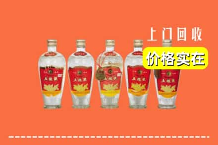 诚信求购:普定县高价回收老五粮液